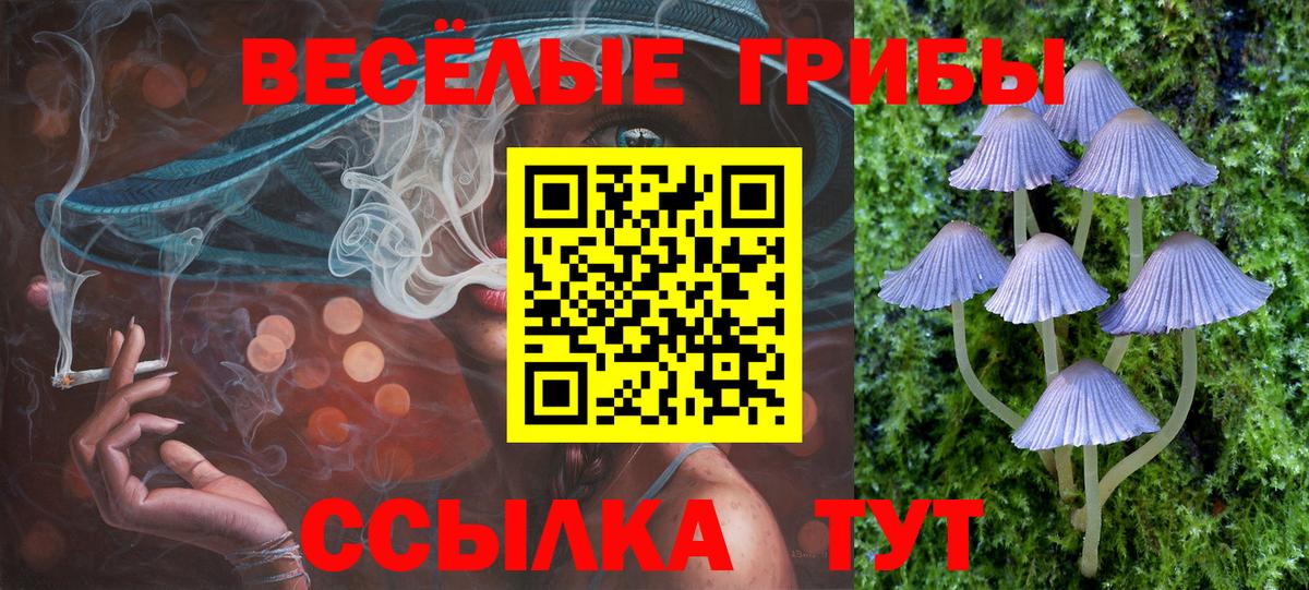 Псилоцибиновые грибы прущие грибы Зеленогорск