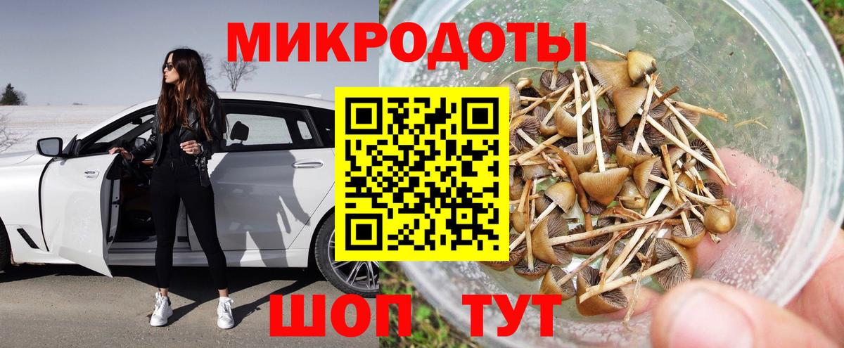 Зеленогорск  Псилоцибиновые грибы Cubensis  Вход с VPN 