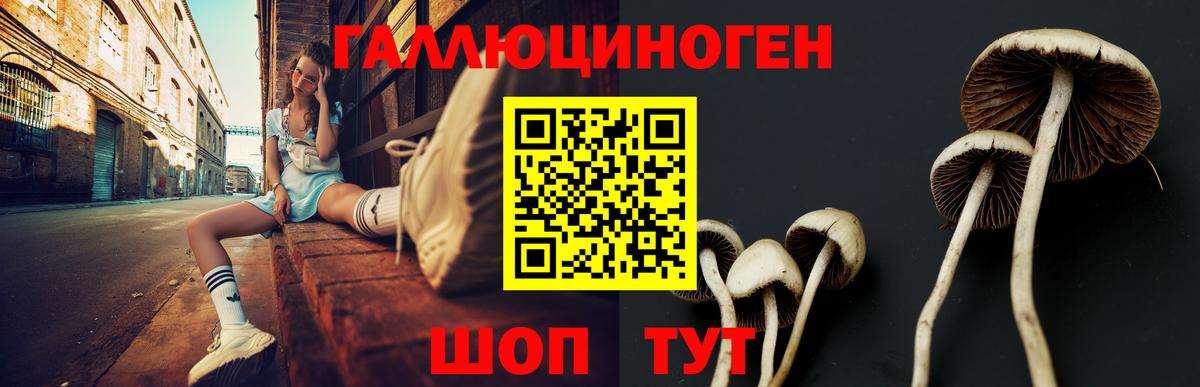 МЕФ Зеленогорск