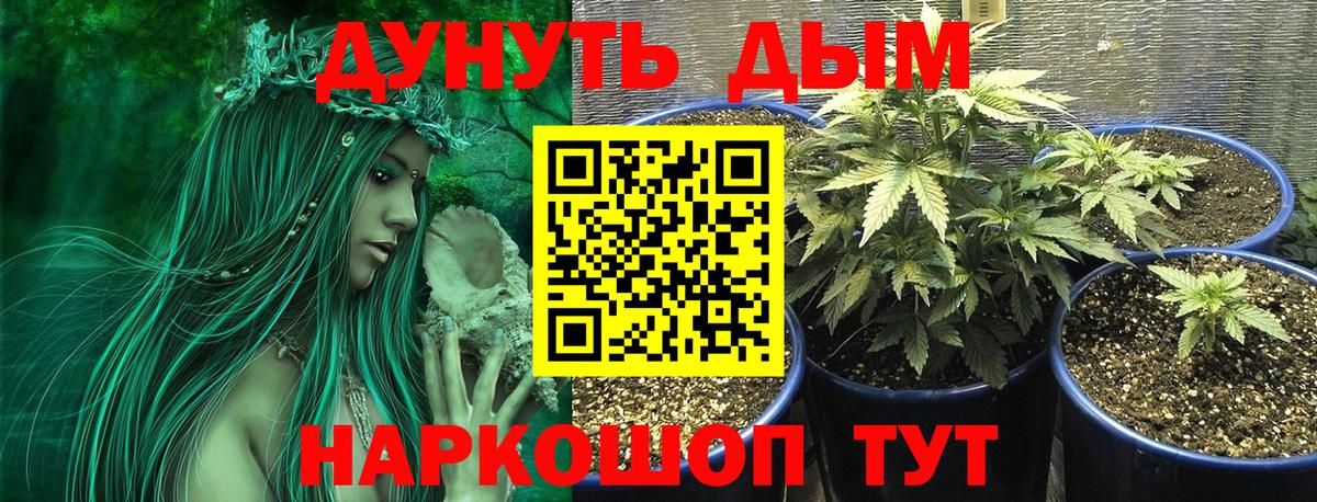 Канабис MAZAR Зеленогорск