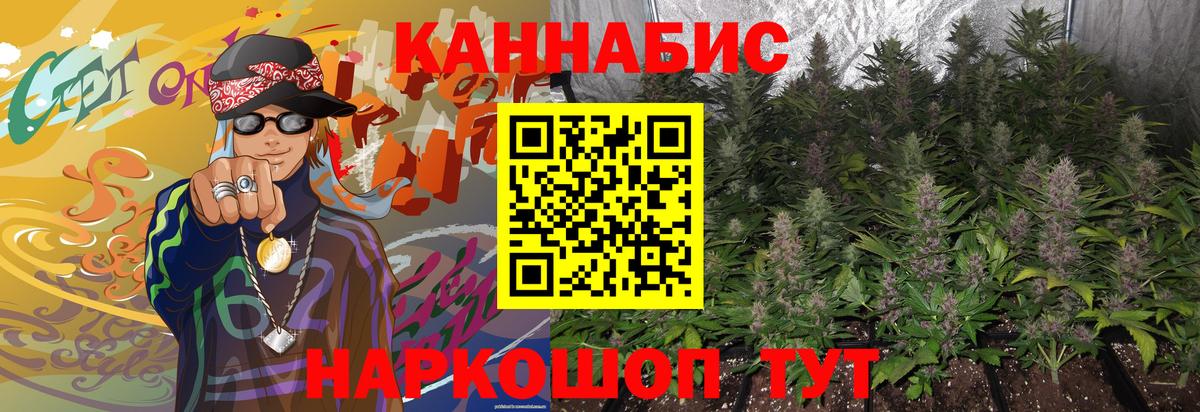 Канабис планчик  Канабис MAZAR  Бошки марихуана семена  Вход с VPN  Зеленогорск  Бошки марихуана план 